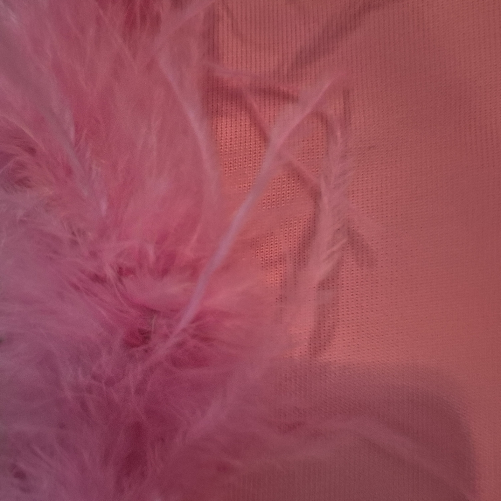 Fashion Nova Slip Dress Bodycon Glam Night Feathers Fringe Beads Pink M/L - Picture 7 of 9